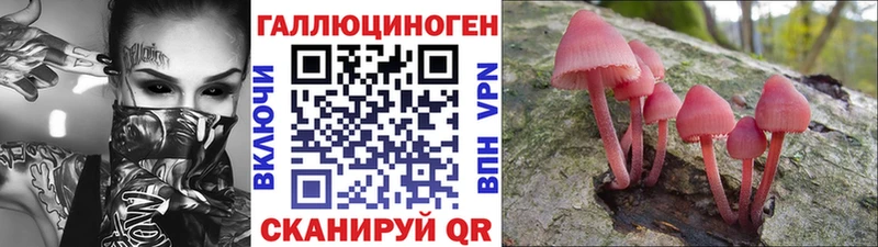 цена   Белгород  ОМГ ОМГ как зайти  Галлюциногенные грибы Cubensis 