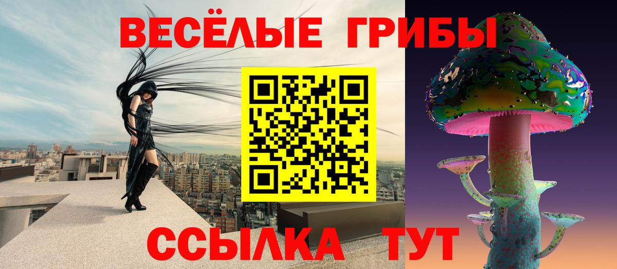 Галлюциногенные грибы Psilocybine cubensis  Белгород 