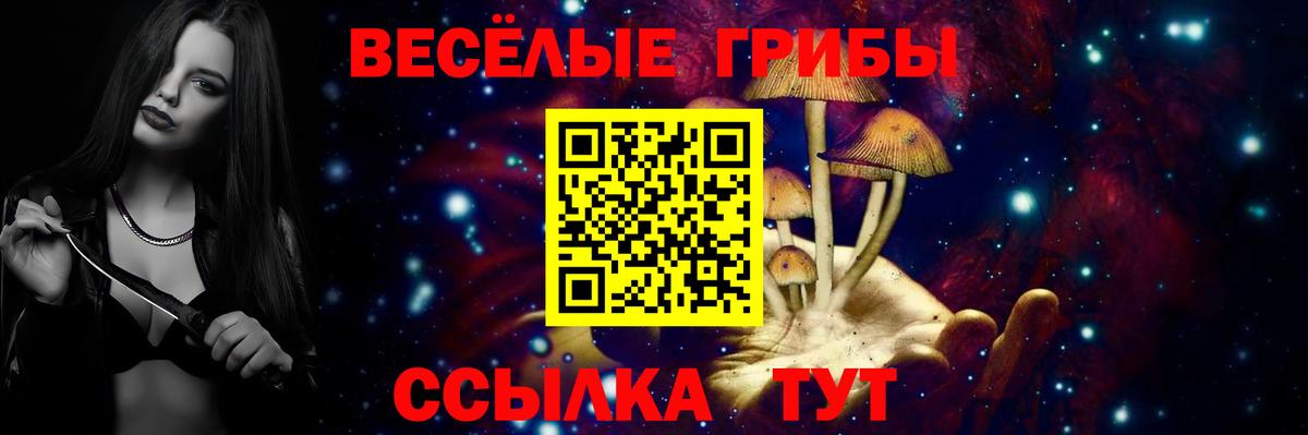 Галлюциногенные грибы Cubensis Белгород